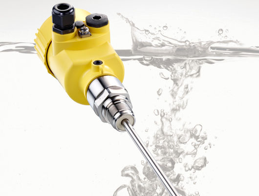 VEGA  WE61.GXANDRAMX VEGAWAVE 61 Vibrating level switch for powders